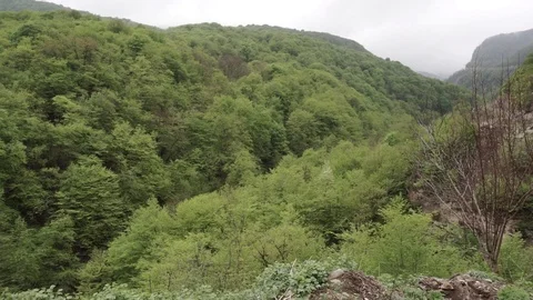 Mountain forest Stock Footage 112889456