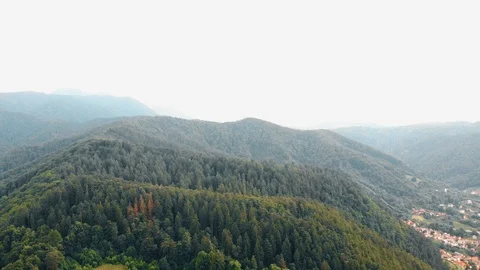 Mountain Forest 库存影片 113153252