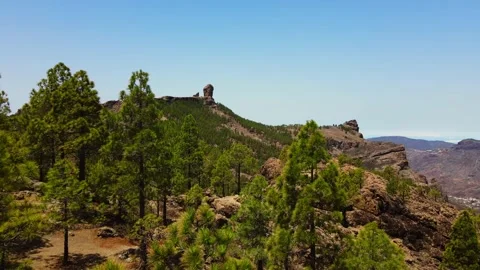 Mountain forest Stock Footage 148678626