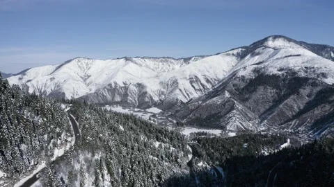 Mountain forest 스톡 동영상 169296329