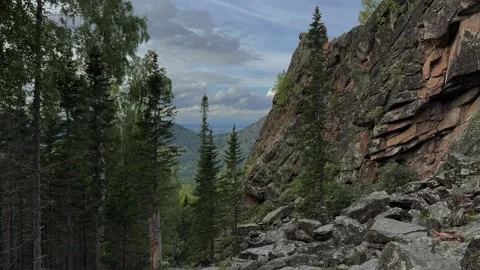 Mountain forest Stock Footage 283469152