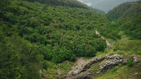 Mountain forest goes beyond the horizon and is buried in a foggy haze Vidéo 204879384