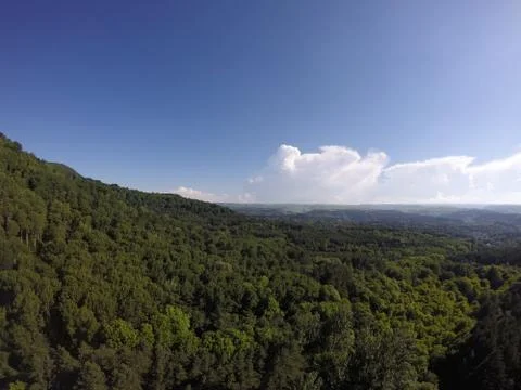 Mountain forest from a height Stock Photos