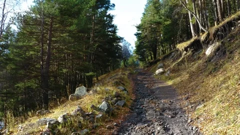 Mountain Forest Hiking Trail in the North Caucasus, Russia Stock Footage 320856784