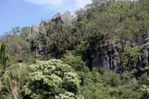 A mountain with a forest on it Stock Photos