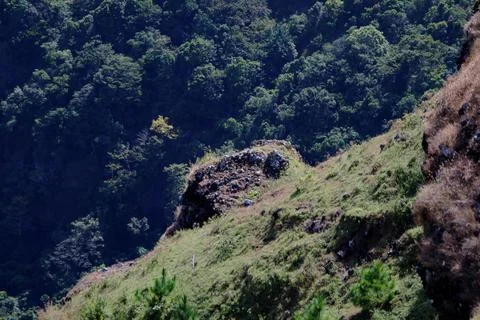 A mountain with a forest on it Stock Photos