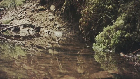 Mountain forest lake background. Water surface with reflections. Stock Footage