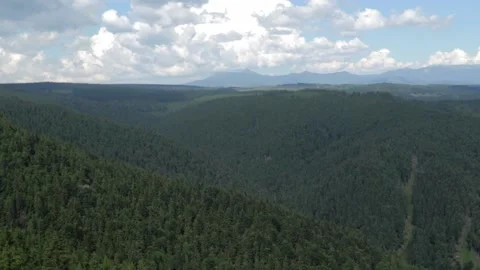 Mountain forest landscape with clouds Stock Footage 135167162
