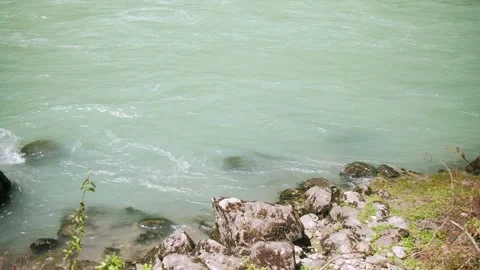 Mountain forest landscape. Stock Footage 203874020