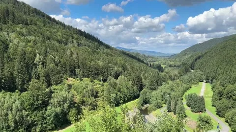 Mountain forest landscape with green valley and hills. Stock Footage 344320507