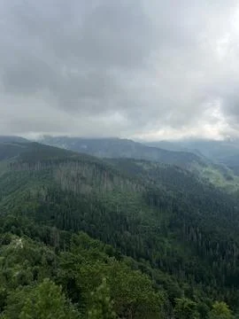 Mountain Forest Landscape With Low Clouds and Mist. Stock Photos
