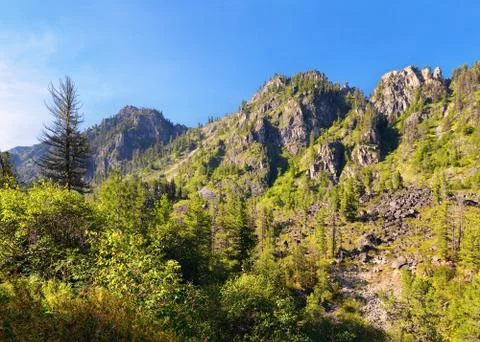 Mountain forest landscape Stock-Fotos
