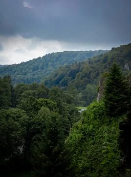 A mountain forest landscape. Stock Photos