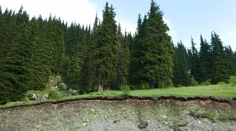 Mountain Forest Landscape Stock Photos