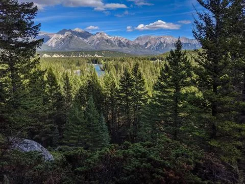 Mountain Forest Landscape with Pine Trees and the Bow River Foto stock