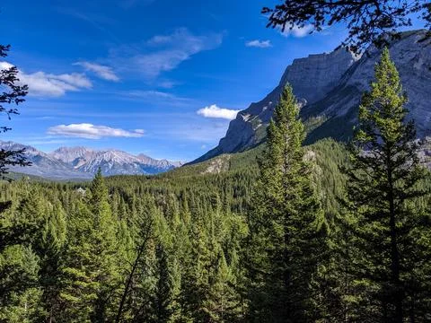 Mountain Forest Landscape With Pine Trees and a Clear Blue Sky Over Rugged Peaks Stock Photos