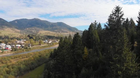 Mountain forest landscape. Shooting trees from a quadrocopter. Beautiful Stock Footage 96493331