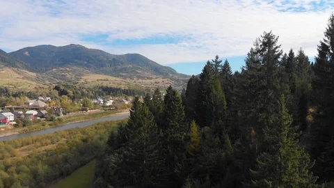 Mountain forest landscape. Shooting trees from a quadrocopter. Beautiful Stock Footage 96493653