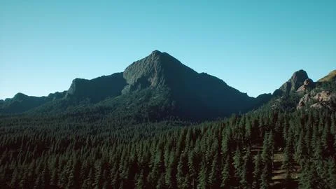 Mountain forest landscape under evening sky Stock Illustration