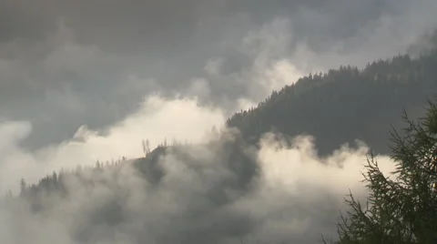 Mountain forest in the myst Stock Footage 59318742