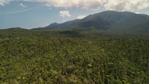 Mountain Forest Panorama in Palawan 動画素材 335647376