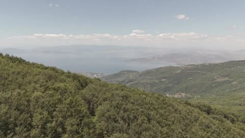 Mountain forest of Pelion in Greece Stock Footage 288728426