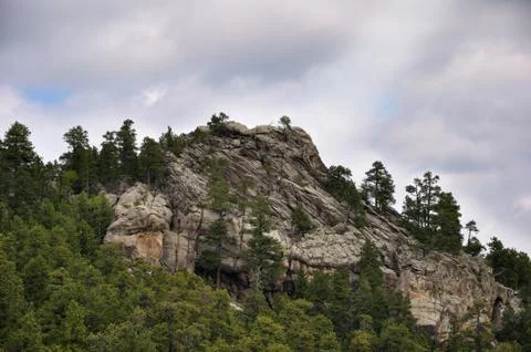 Mountain forest Stock Photos