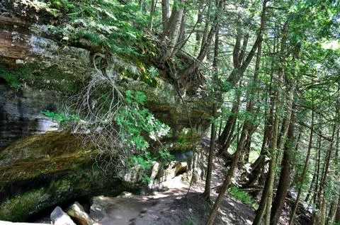 Mountain forest Stock Photos