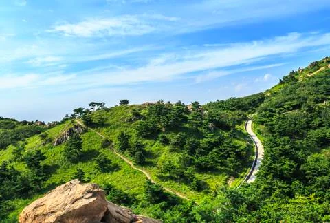 Mountain forest Stock Photos
