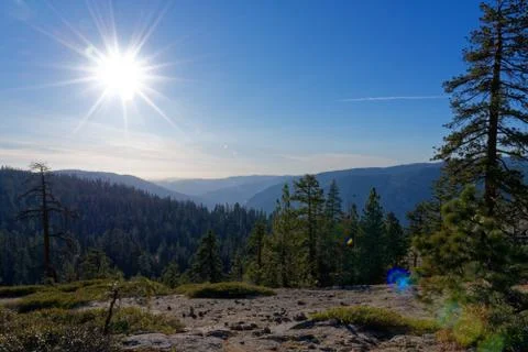 Mountain forest Stock Photos