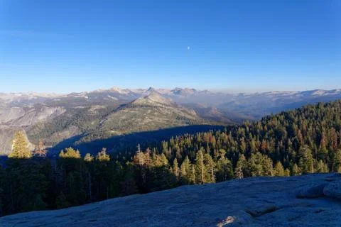 Mountain forest Stock Photos