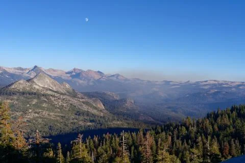 Mountain forest Stock Photos