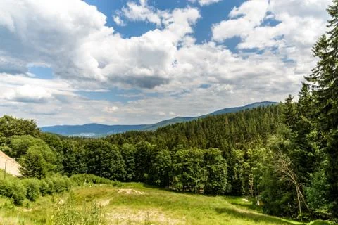 Mountain forest Stock Photos
