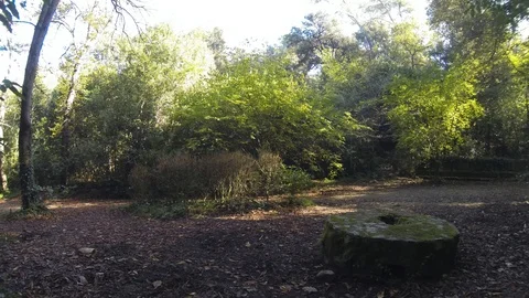 Mountain forest picnic zone time lapse Video stock 119911185