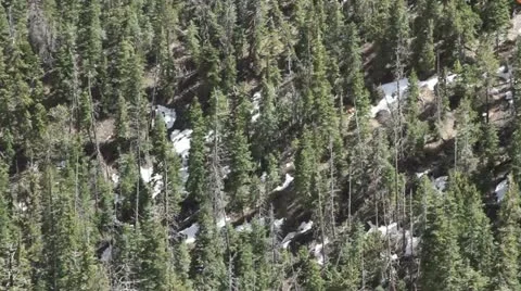 Mountain forest pull thru natural bridge formation Bryce's Canyon Stock Footage 10923069