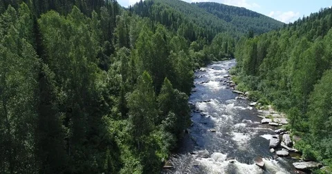 Mountain forest river Video stock 78549915