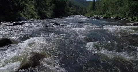 Mountain forest river Video stock 78550194