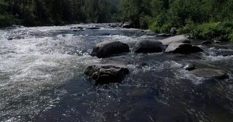 Mountain forest river Stock Footage 78550327