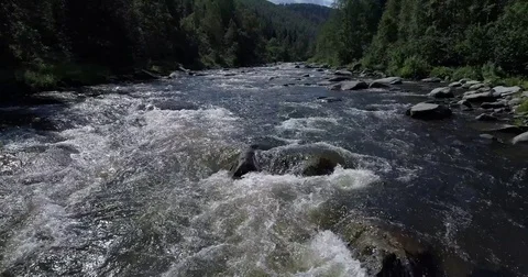 Mountain forest river Stock Footage 78550464