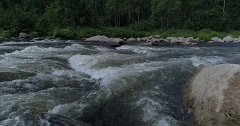 Mountain forest river Stock Footage 78560983