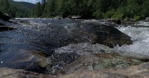 Mountain forest river Stock Footage 78561141