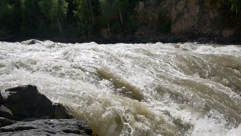 Mountain forest river Stock Footage 101879816