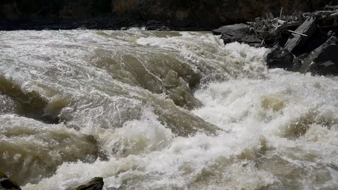 Mountain forest river Stock Footage 101880052