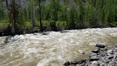 Mountain forest river Stock Footage 101880393
