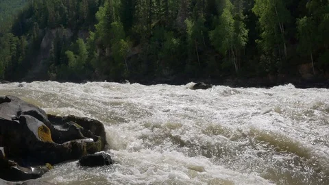 Mountain forest river Stock Footage 101880619