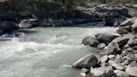 Mountain forest river Stock Footage 101880897