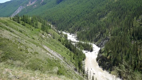 Mountain forest river Stock Footage 130096016