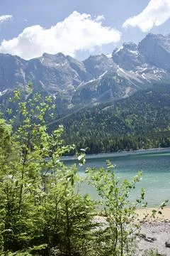 Mountain Forest River in Remote Wilderness Valley Stock-Fotos