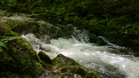 Mountain forest river, running down the hill Stock Footage 155128022