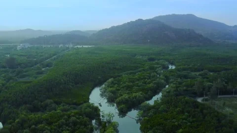 Mountain forest with River Stream with Boats passing 動画素材 149033714